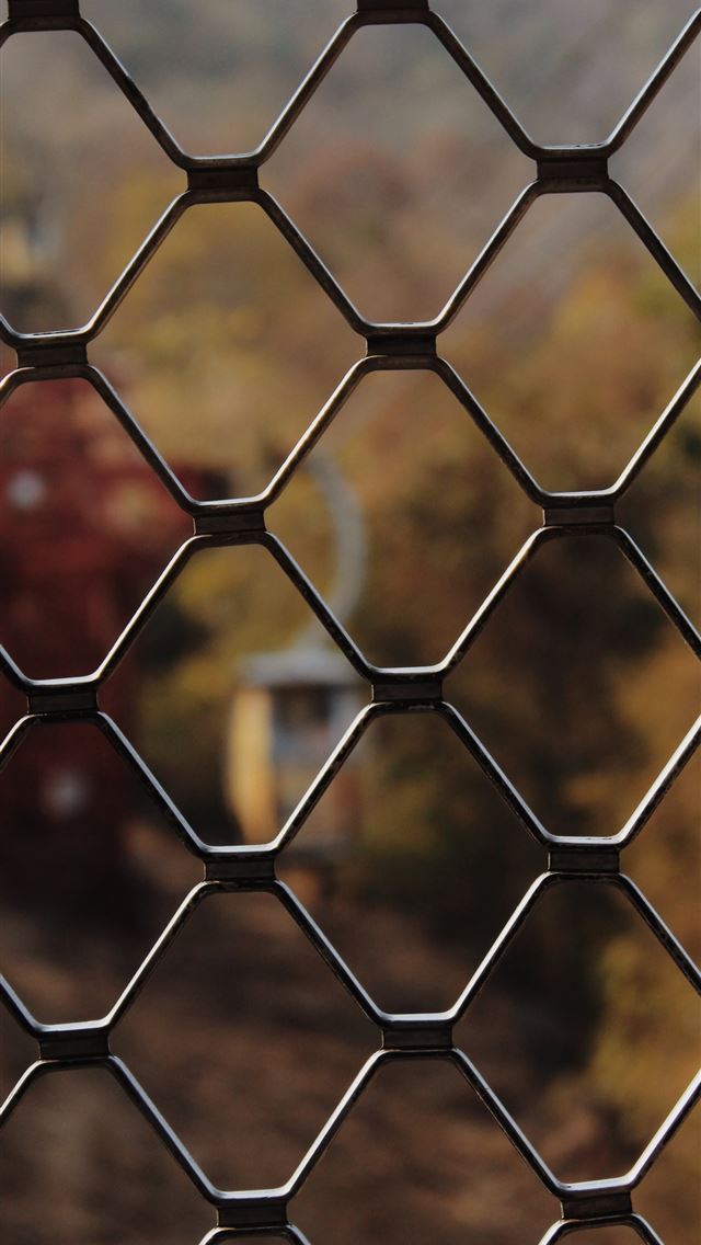 1284x2778 fencing - fencing iPhone Wallpaper