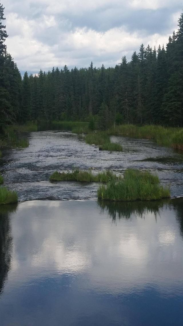 1284x2778 theodore roosevelt national park - theodore roosevelt national park iPhone Wallpaper