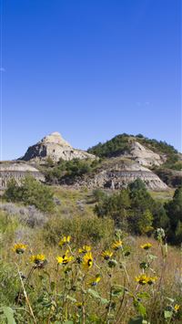 theodore roosevelt national park wallpaper
