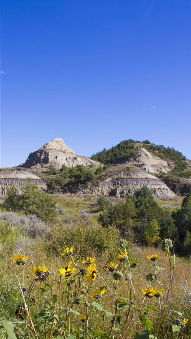 1284x2778 theodore roosevelt national park - theodore roosevelt national park iPhone Wallpaper