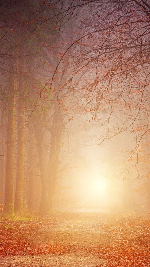 1284x2778 samsung galaxy note 9 - samsung galaxy note 9 iPhone Wallpaper