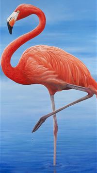 lake nakuru wallpaper