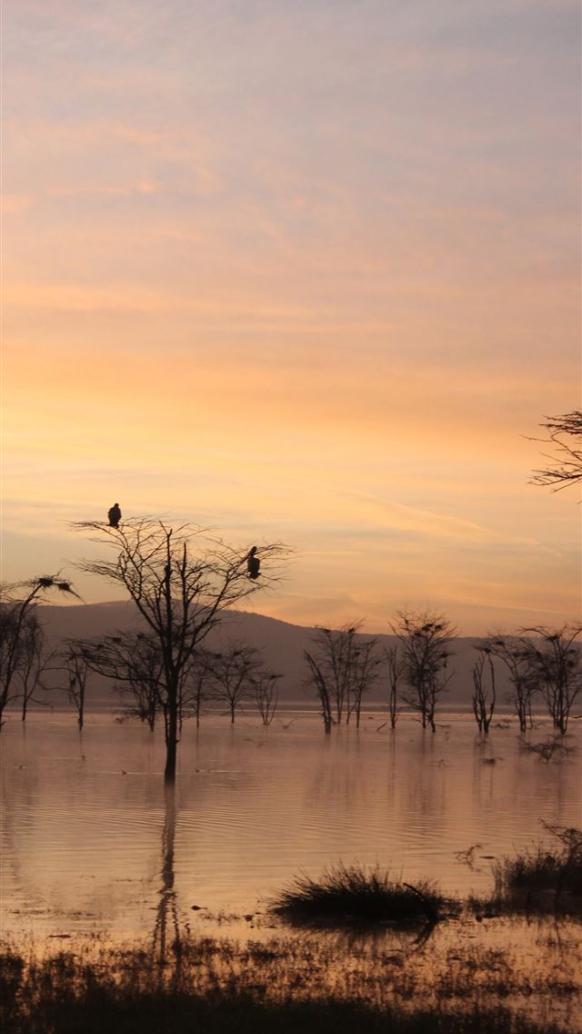 1284x2778 lake nakuru - lake nakuru iPhone Wallpaper