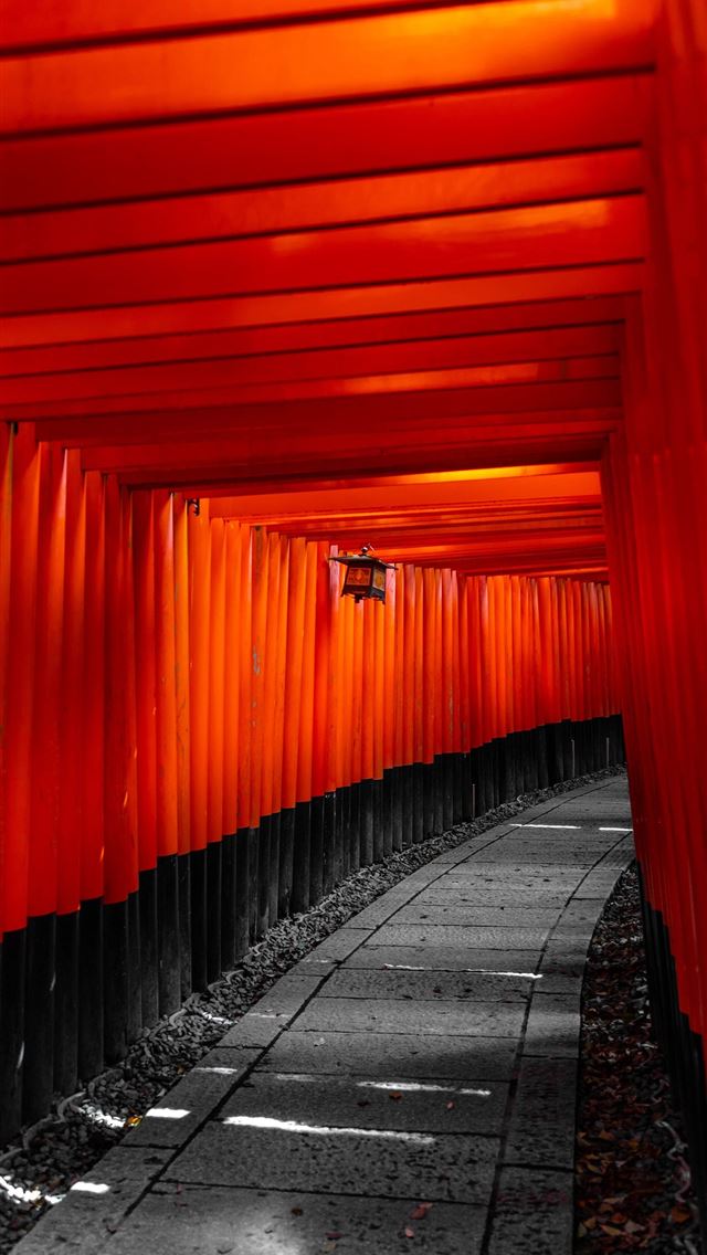 1284x2778 fushimi inari taisha - fushimi inari taisha iPhone Wallpaper