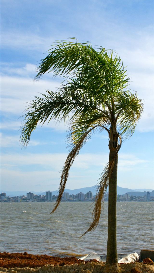 1284x2778 florianopolis - florianopolis iPhone Wallpaper