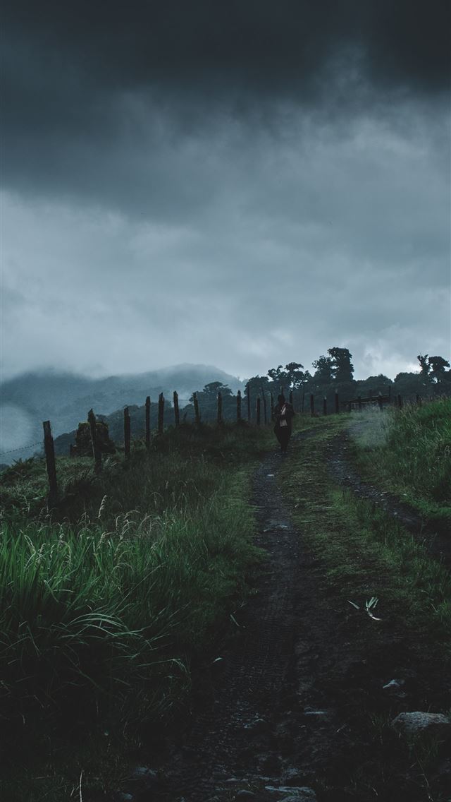 1284x2778 panama - panama iPhone Wallpaper