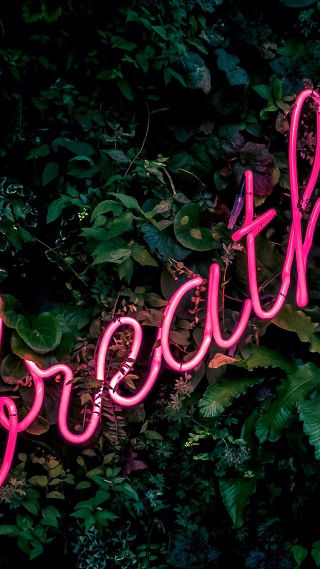 1284x2778 hm - hm iPhone Wallpaper