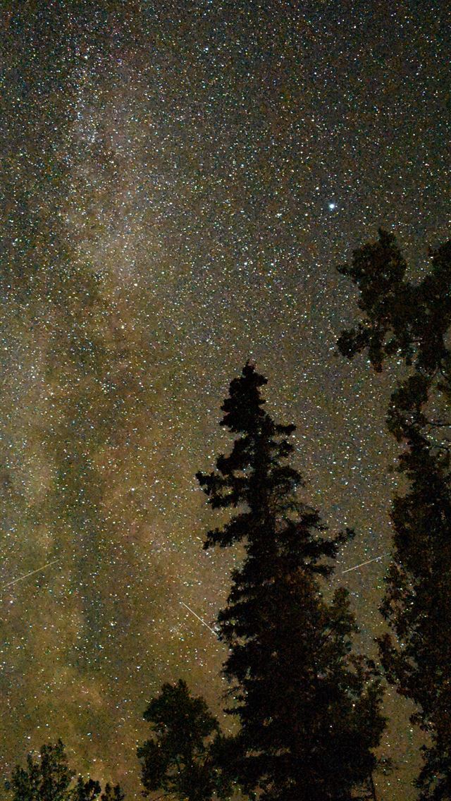 1284x2778 wrangellst elias national park and preserve - wrangellst elias national park and preserve iPhone Wallpaper