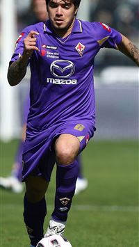 acf fiorentina wallpaper