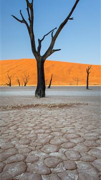 sossusvlei wallpaper