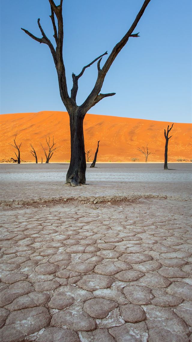 1284x2778 sossusvlei - sossusvlei iPhone Wallpaper