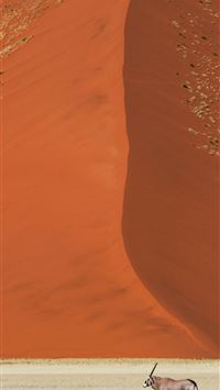 sossusvlei wallpaper