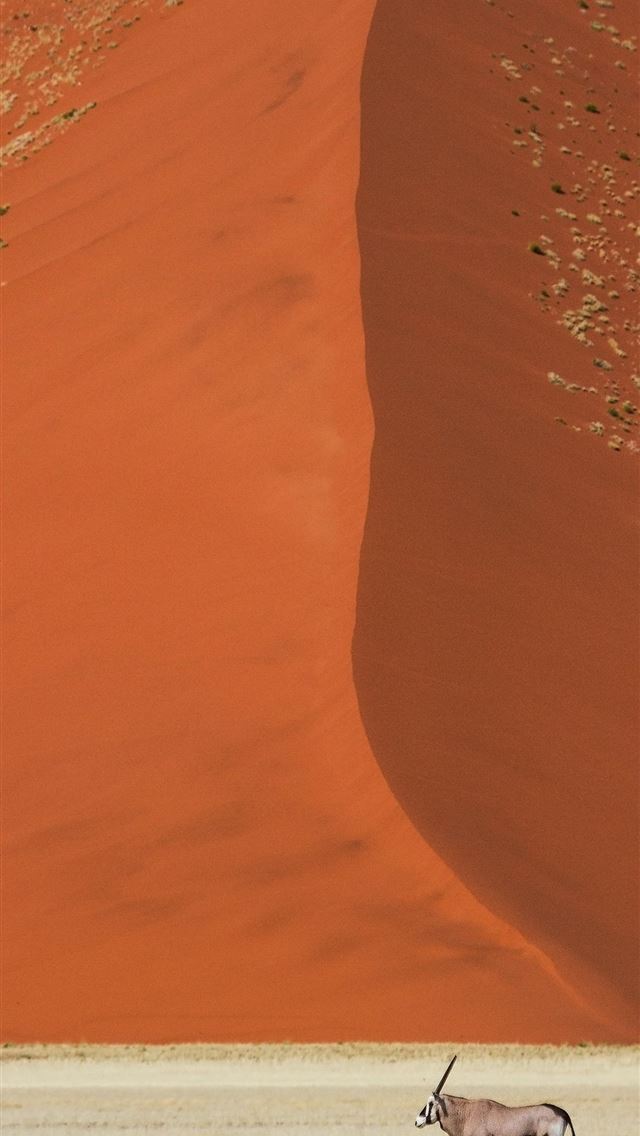 1284x2778 sossusvlei - sossusvlei iPhone Wallpaper