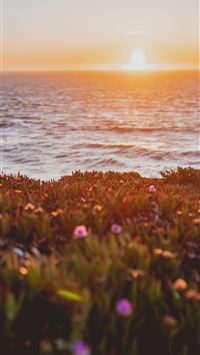 lands end wallpaper