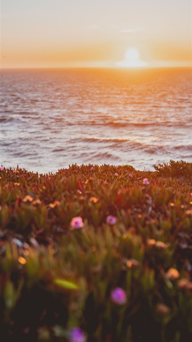 1284x2778 lands end - lands end iPhone Wallpaper