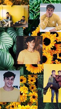 the dolan twins wallpaper