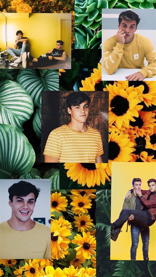 1284x2778 the dolan twins - the dolan twins iPhone Wallpaper