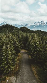 red star belgrade wallpaper