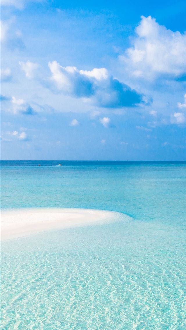 1284x2778 world oceans day - world oceans day iPhone Wallpaper