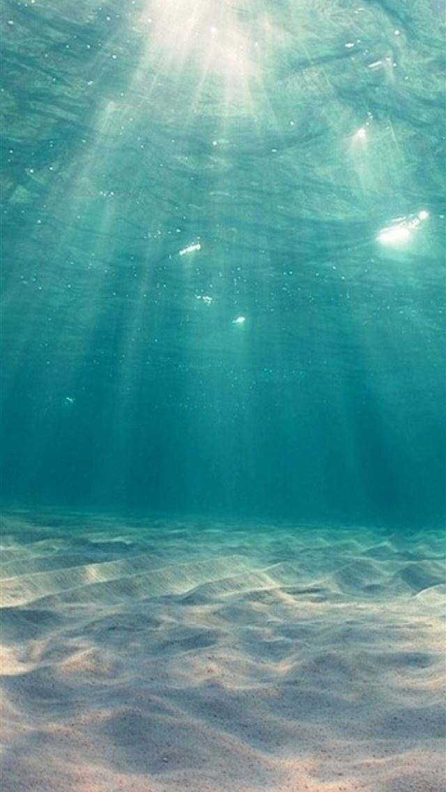 1284x2778 world oceans day - world oceans day iPhone Wallpaper