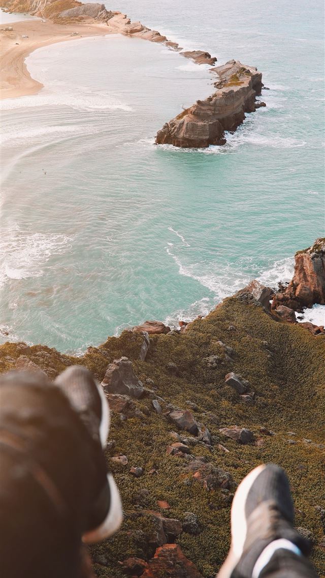 1284x2778 wellington - wellington iPhone Wallpaper