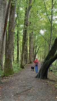 gates of the arctic national park and preserve wallpaper