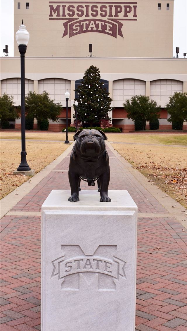 1284x2778 mississippi - mississippi iPhone Wallpaper