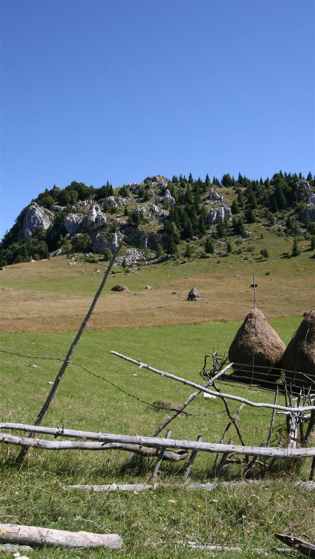 1284x2778 romanian flag - romanian flag iPhone Wallpaper