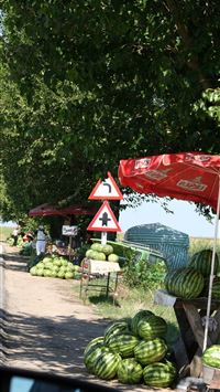 romanian flag wallpaper