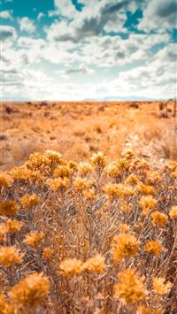 north dakota wallpaper