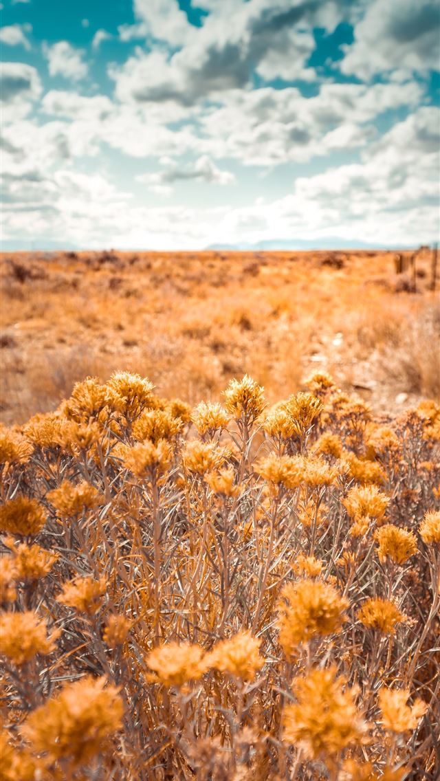 1284x2778 north dakota - north dakota iPhone Wallpaper
