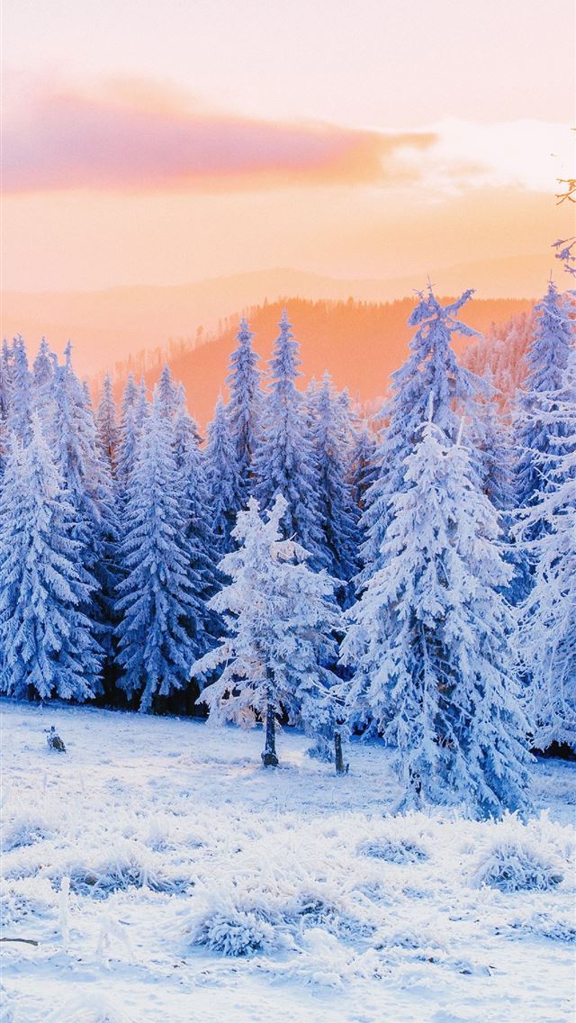 1284x2778 north dakota - north dakota iPhone Wallpaper
