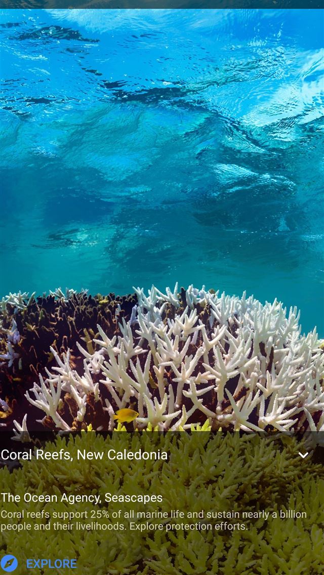 1284x2778 new caledonia - new caledonia iPhone Wallpaper
