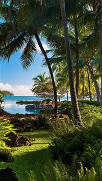 new caledonia wallpaper