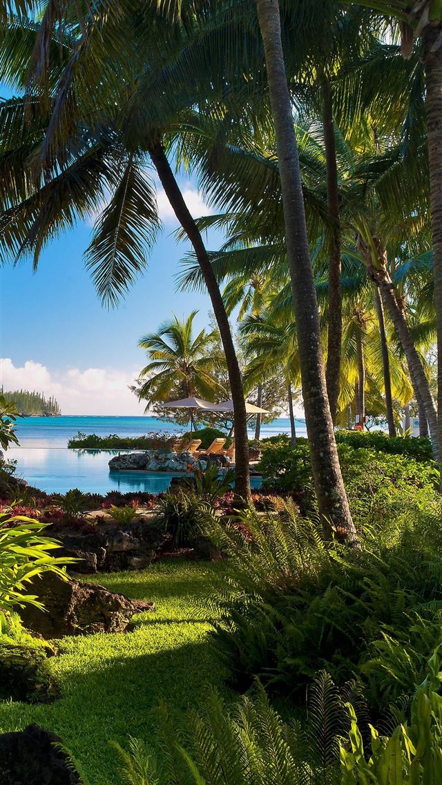 1284x2778 new caledonia - new caledonia iPhone Wallpaper