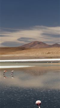 laguna colorada wallpaper