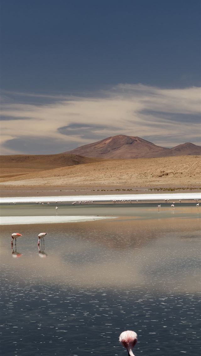 1284x2778 laguna colorada - laguna colorada iPhone Wallpaper