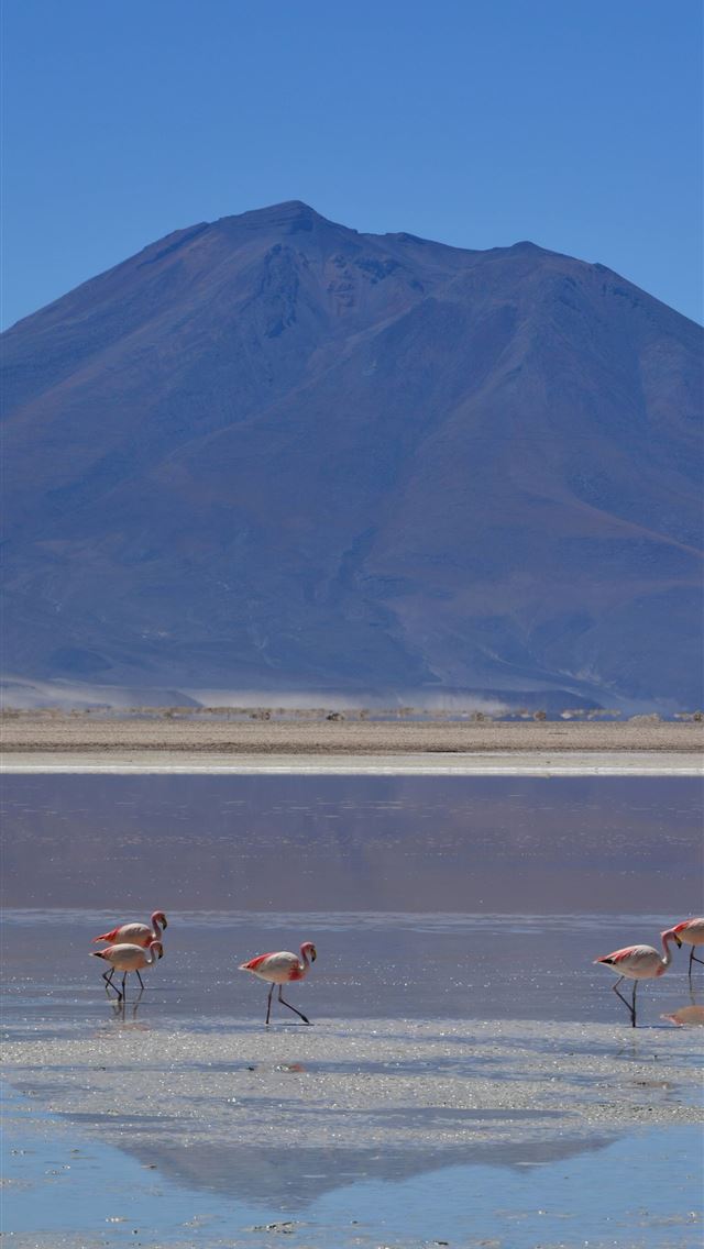 1284x2778 laguna colorada - laguna colorada iPhone Wallpaper