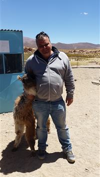 laguna colorada wallpaper