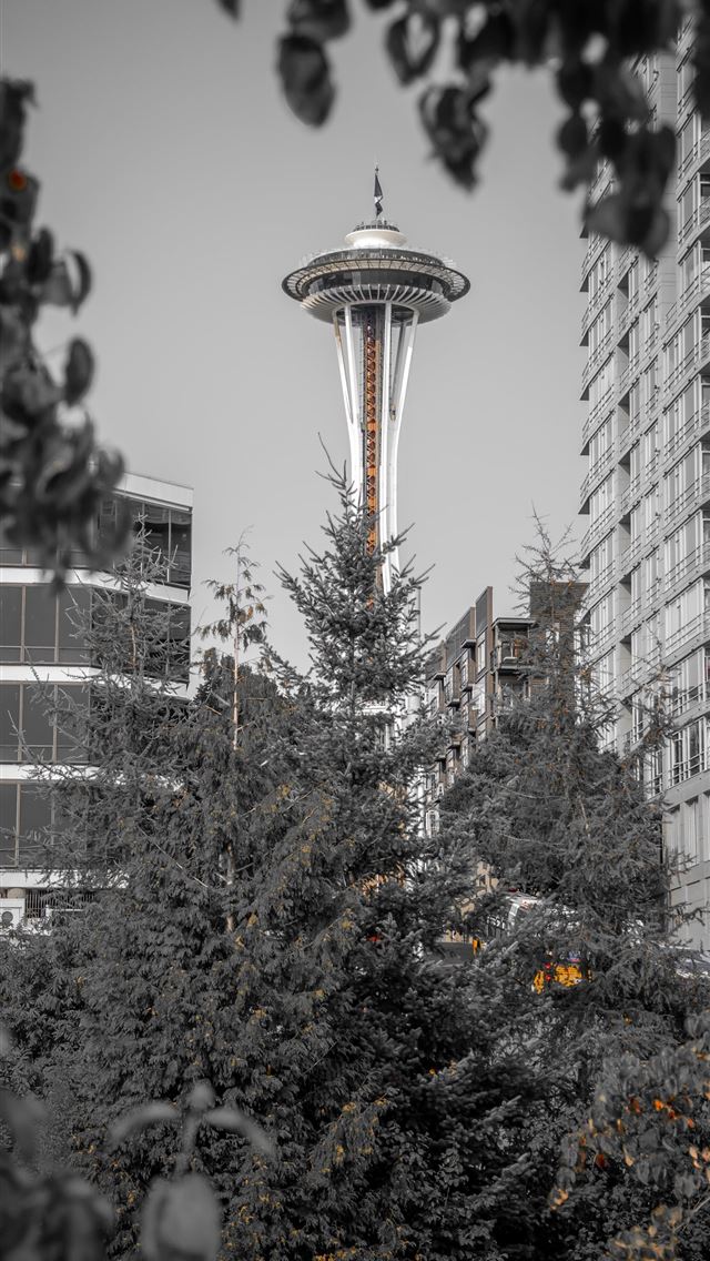 1284x2778 seattle - seattle iPhone Wallpaper