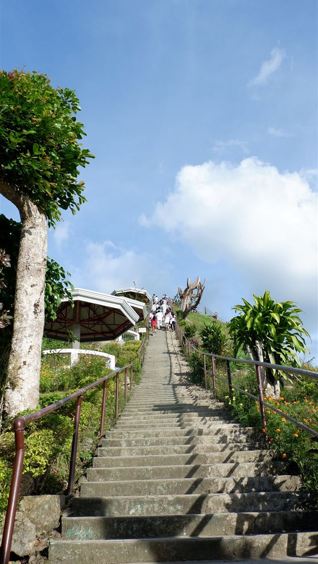 1284x2778 bohol - bohol iPhone Wallpaper