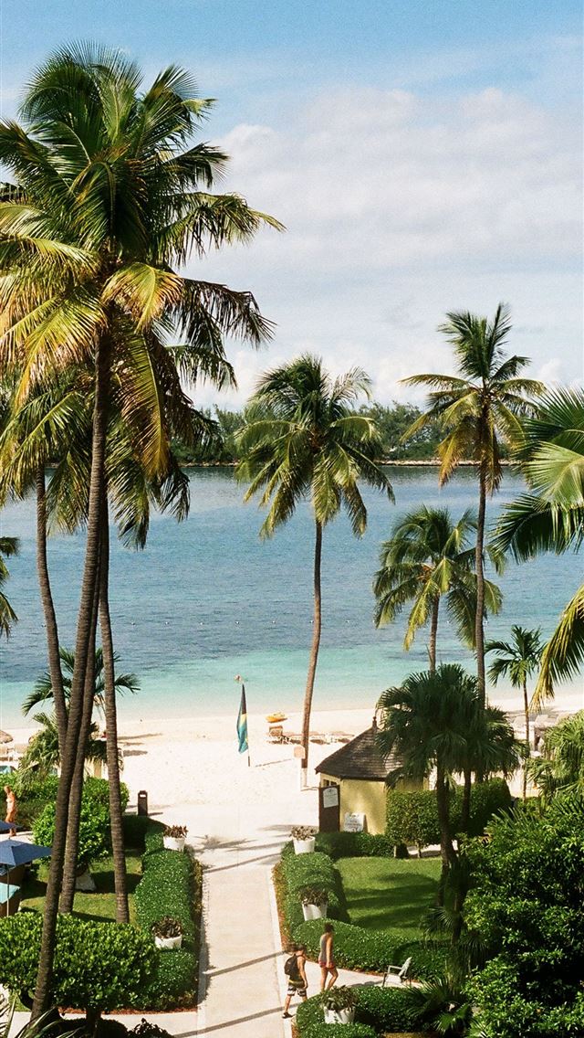 1284x2778 nassau - nassau iPhone Wallpaper