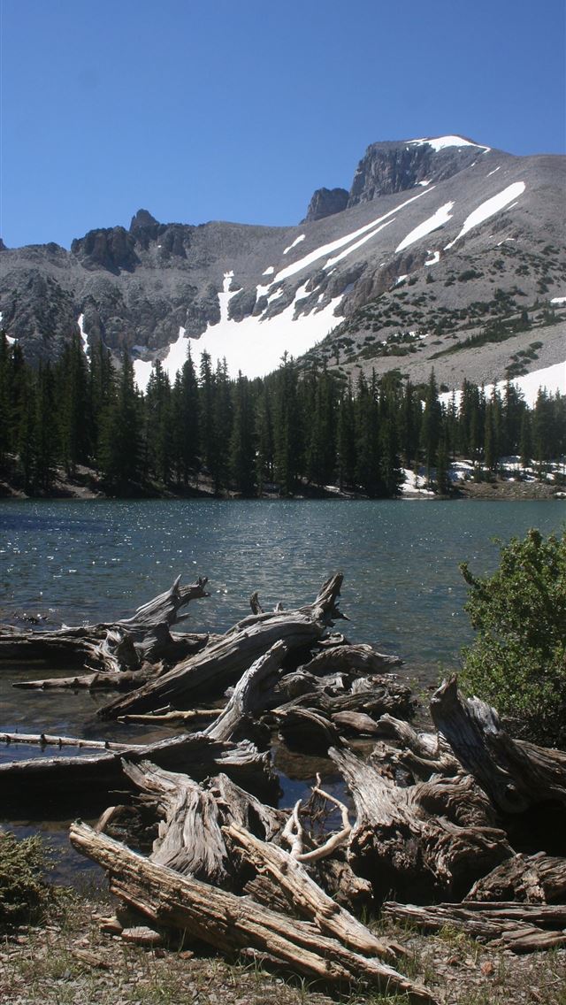 1284x2778 great basin national park - great basin national park iPhone Wallpaper