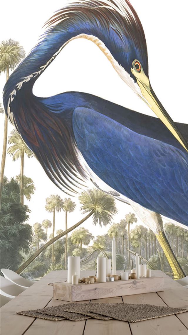 1284x2778 herons - herons iPhone Wallpaper