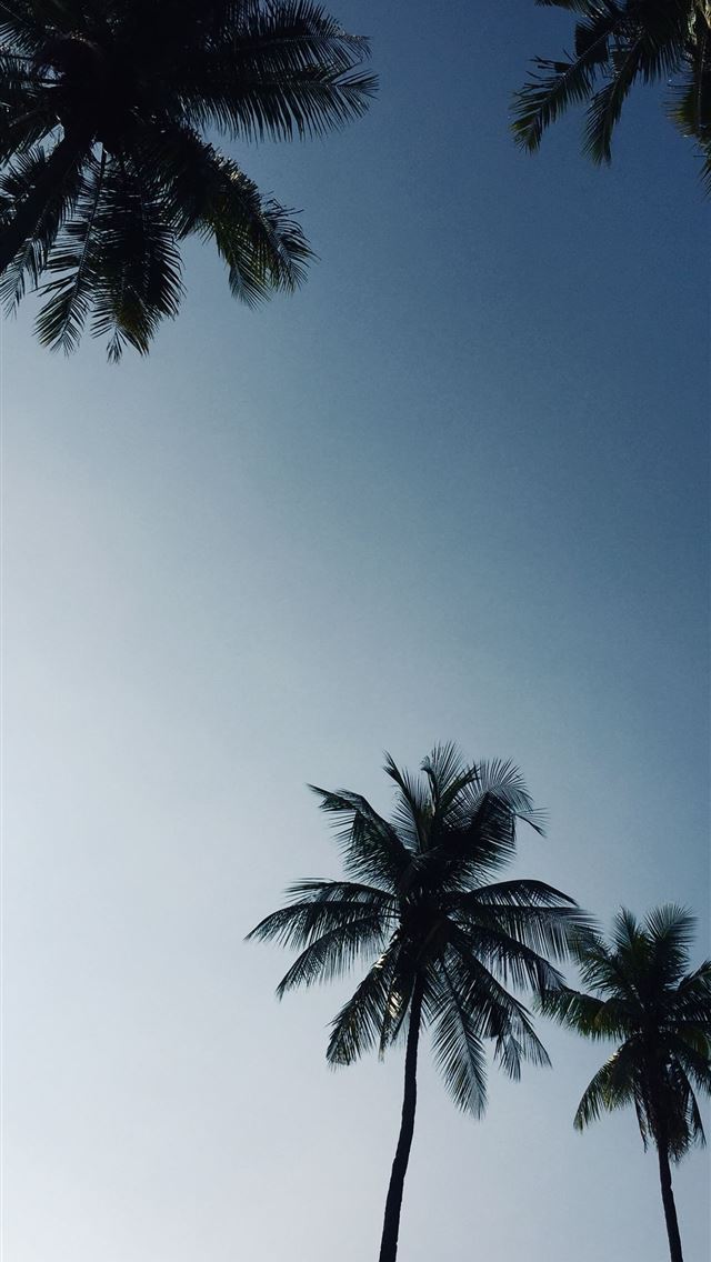 1284x2778 inri - inri iPhone Wallpaper