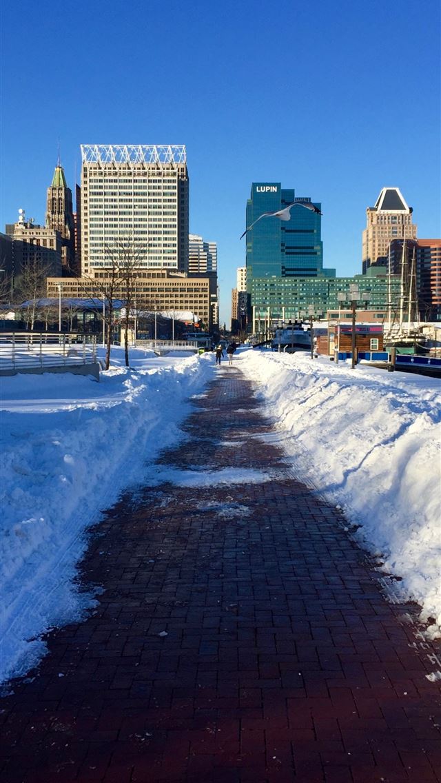 1284x2778 baltimore - baltimore iPhone Wallpaper