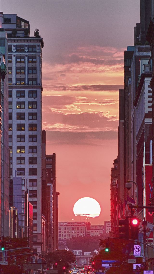 1284x2778 summer solstice - summer solstice iPhone Wallpaper