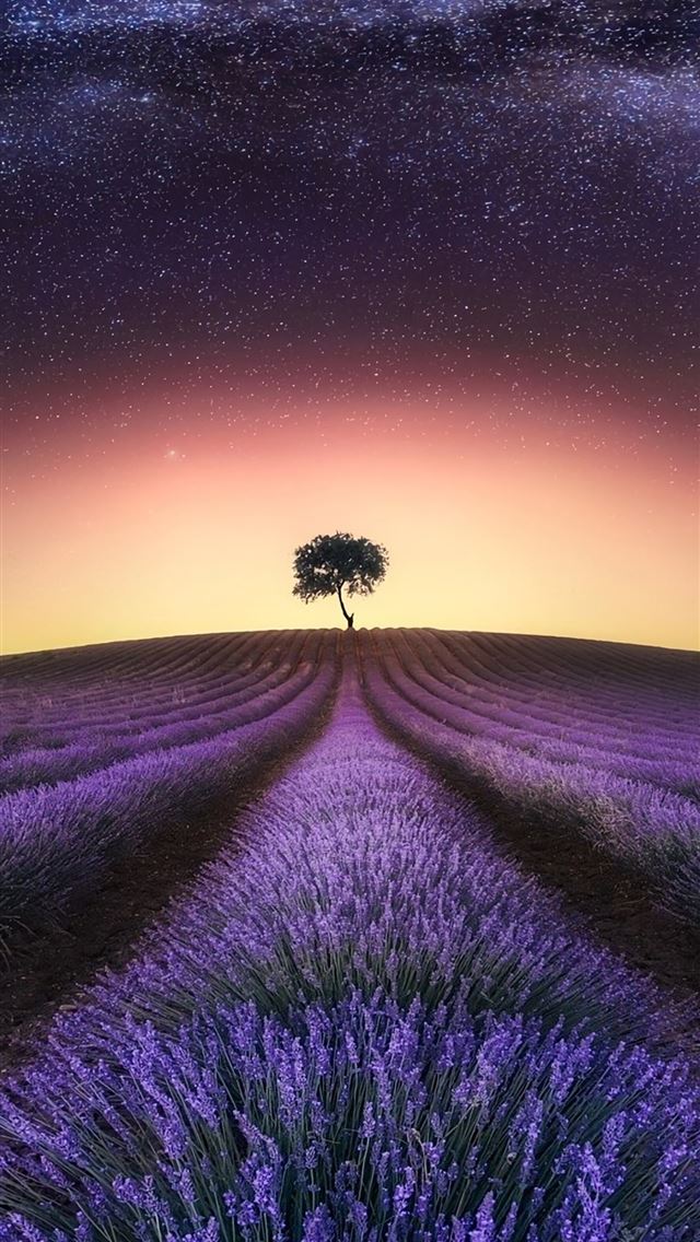 1284x2778 summer solstice - summer solstice iPhone Wallpaper
