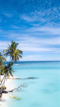 summer solstice wallpaper