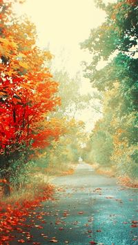 summer solstice wallpaper